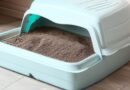 Quais os tipos de areia sanitária para o gato?