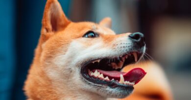 tartaro-em-caes-6-principais-causas-e-solucoes