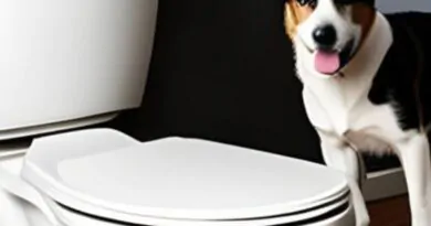 Cachorro e Xixi no Lugar Certo, é Possível?
