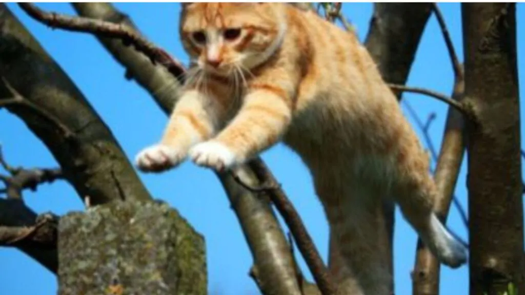 Como os Gatos Saltam de Alturas. Na imagem, um gato adulto de pelagem amarela, pulando de um galho a outro numa árvore.