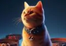 coleiras-para-gatos-guia-completo